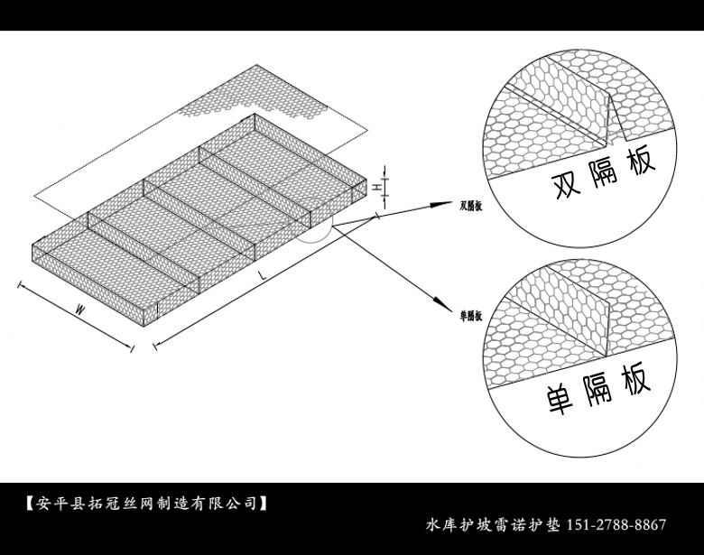 雙隔板雷諾護墊03_conew7.png